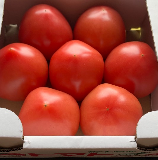 スナック【JINJIN】祝!20号店!! 成人の集いの場♪