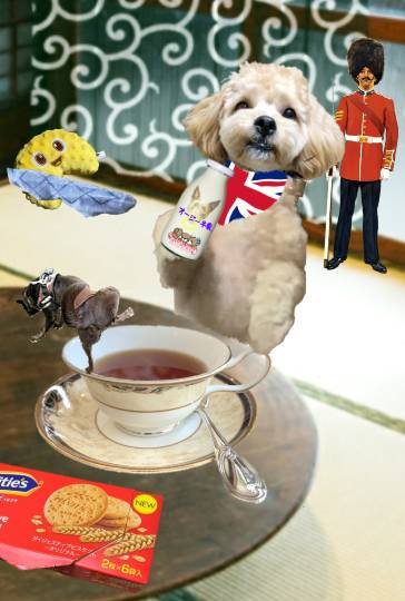 生き物ルーム第55