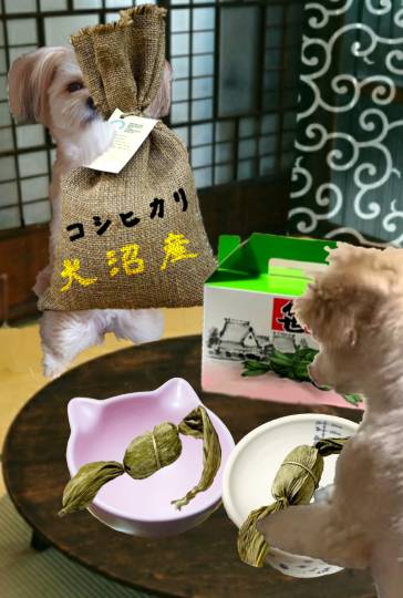 生き物ルーム第55