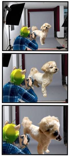 生き物ルーム第55