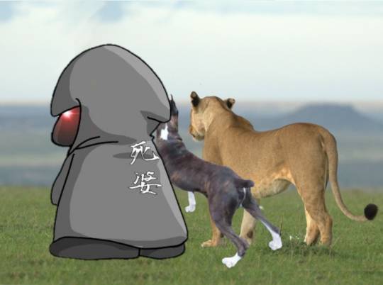 生き物ルーム第55