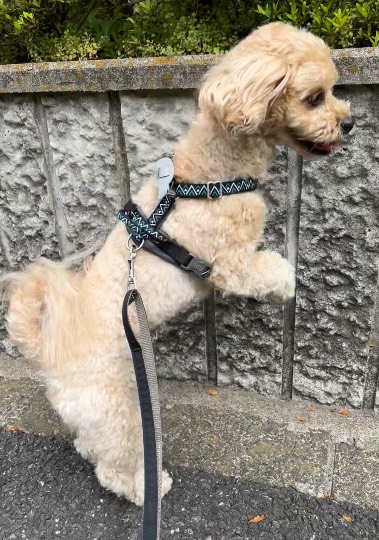 生き物ルーム第55