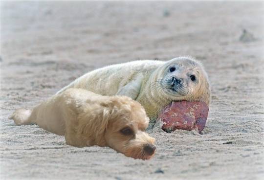 生き物ルーム第55