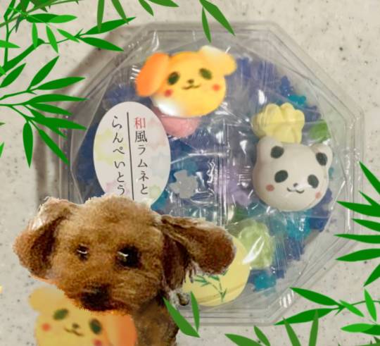 生き物ルーム第55