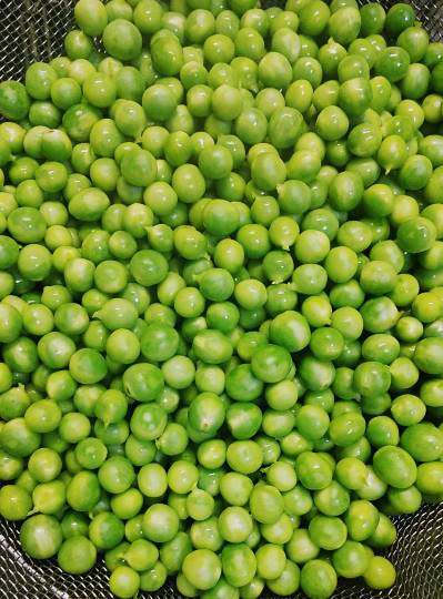 スナック【JINJIN】祝!20号店!! 成人の集いの場♪