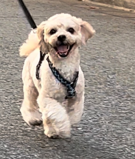 生き物ルーム第55