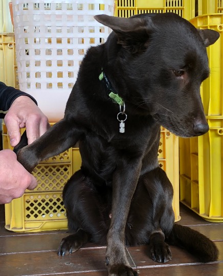 生き物ルーム第55