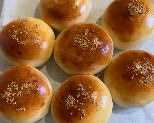 マスク同窓会詰所兼ニューフェイス歓迎所36(夢)