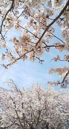 スナック【JINJIN】祝!20号店!! 成人の集いの場♪