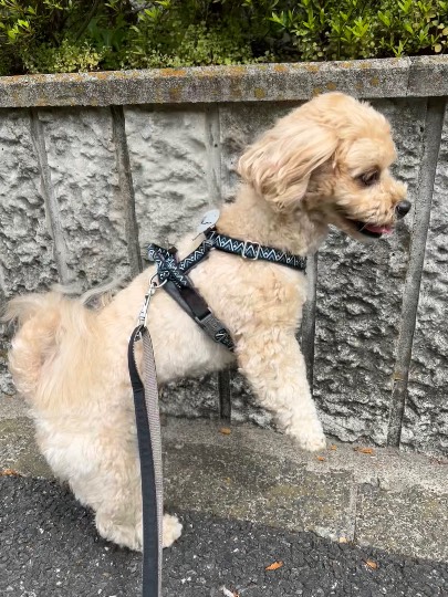 生き物ルーム第55