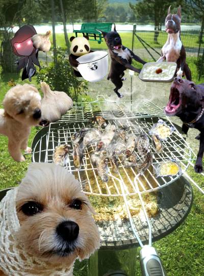 生き物ルーム第55