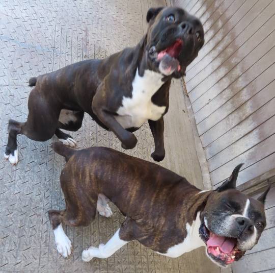 生き物ルーム第55