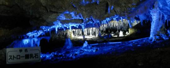 生き物ルーム第55