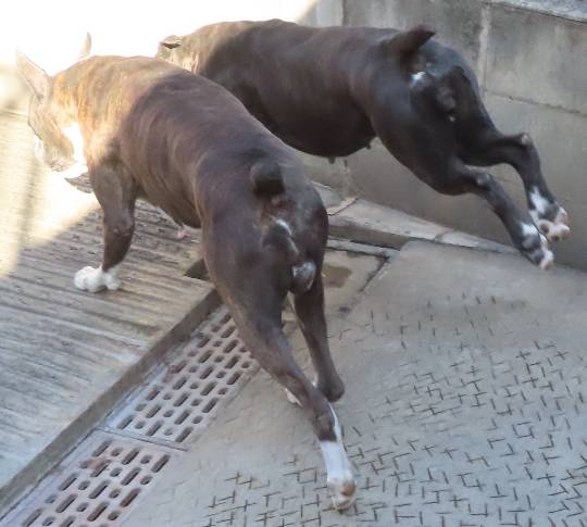 生き物ルーム第55