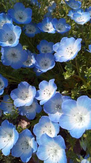 スナック【JINJIN】祝!20号店!! 成人の集いの場♪