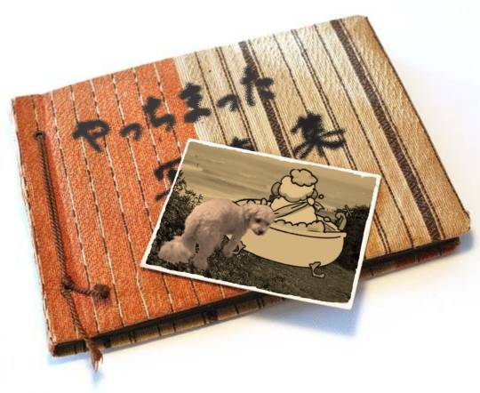 生き物ルーム第55