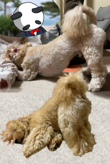 生き物ルーム第55