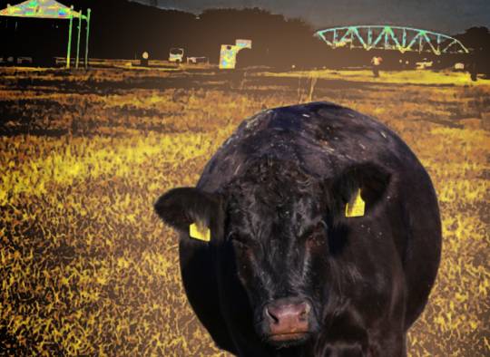 生き物ルーム第55