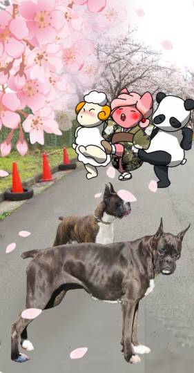 生き物ルーム第55