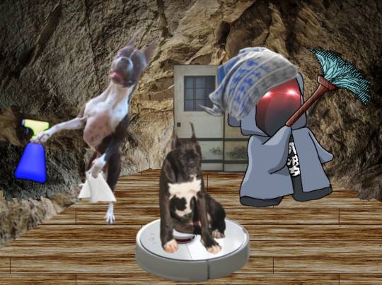 生き物ルーム第55