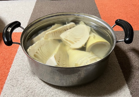 生き物ルーム第55