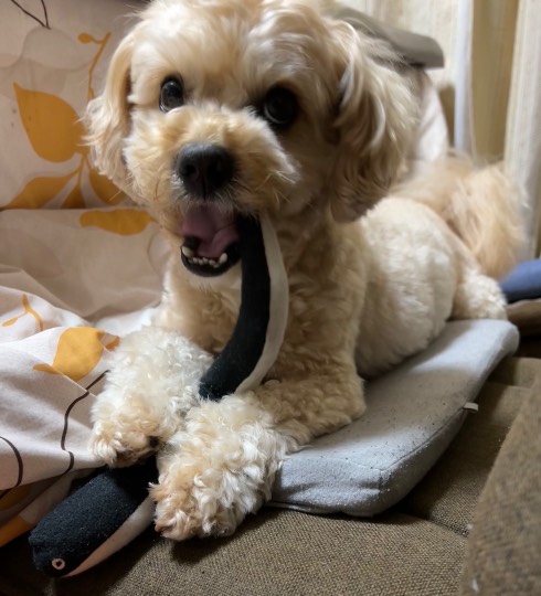 生き物ルーム第55