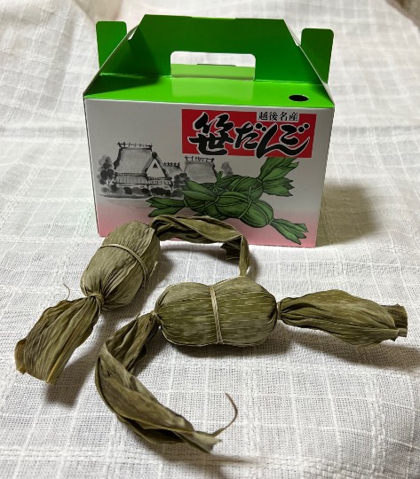 生き物ルーム第55