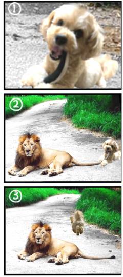 生き物ルーム第55