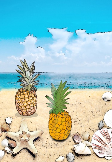 生き物ルーム第55