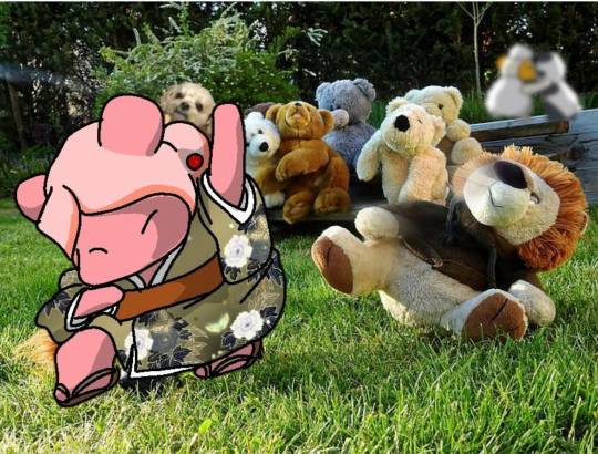 生き物ルーム第55