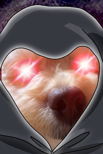 生き物ルーム第55