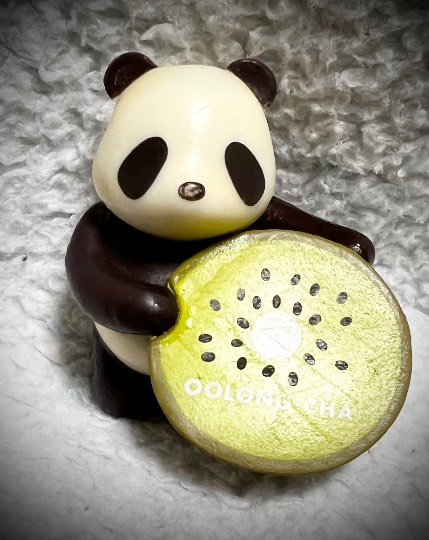 生き物ルーム第55