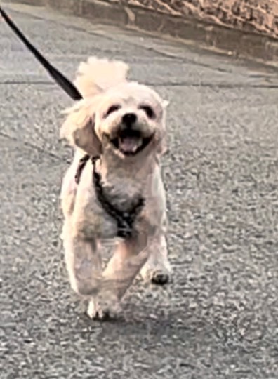 生き物ルーム第55