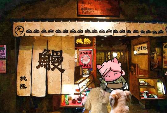 生き物ルーム第55