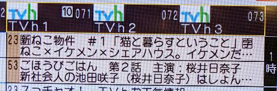 つぶやき その62　ある日森の中、じぇいそんさんに出会った♪