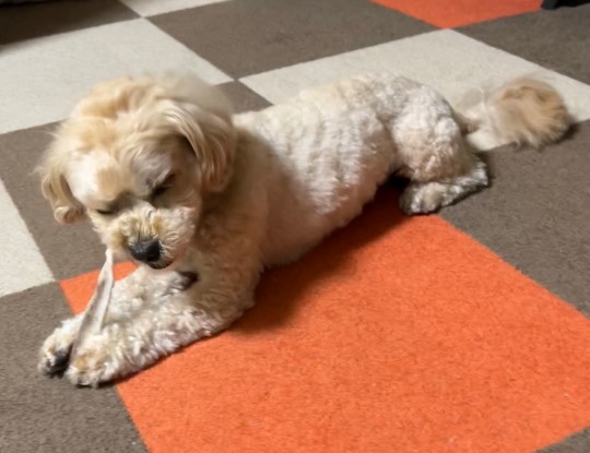 生き物ルーム第55