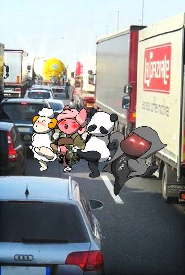 生き物ルーム第55