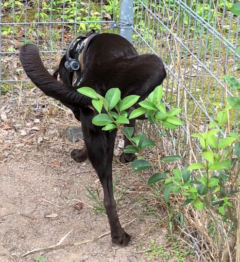 生き物ルーム第55