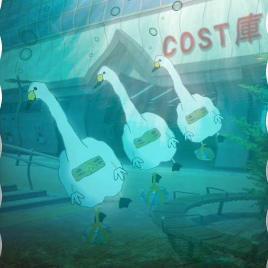 生き物ルーム第55