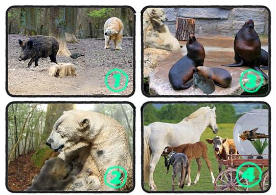 生き物ルーム第55