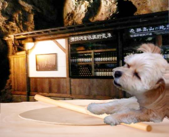 生き物ルーム第55