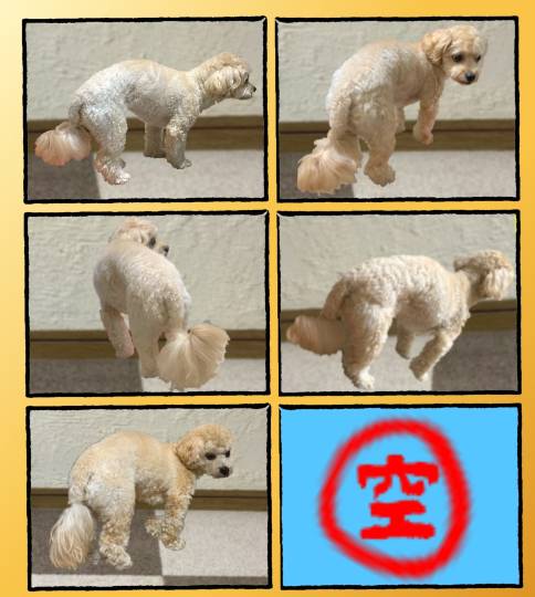 生き物ルーム第55