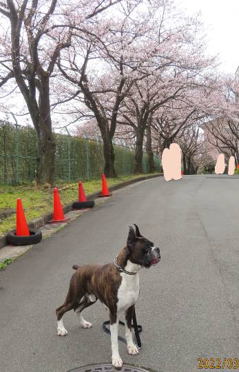 生き物ルーム第55