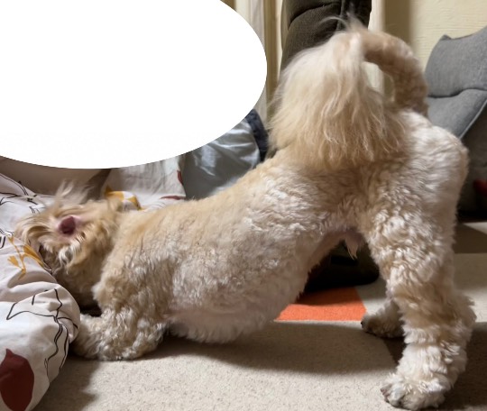 生き物ルーム第55