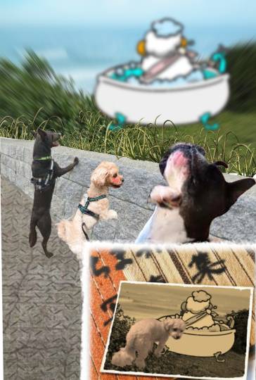 生き物ルーム第55