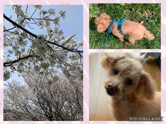 生き物ルーム第55