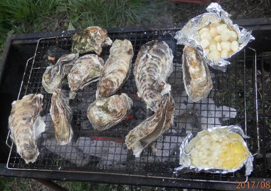 生き物ルーム第55