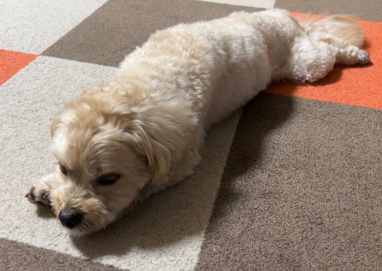 生き物ルーム第55