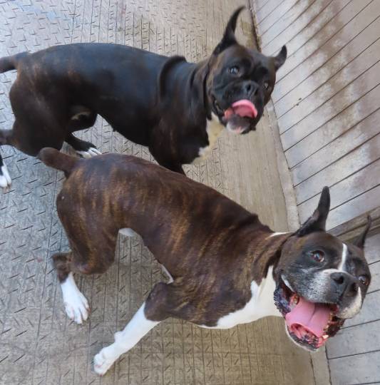 生き物ルーム第55