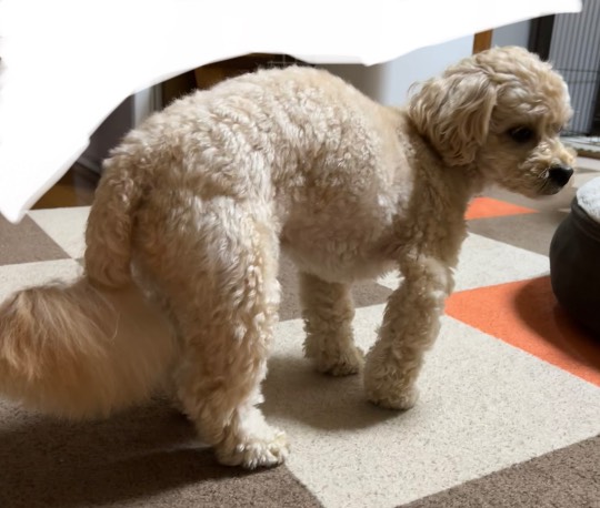 生き物ルーム第55